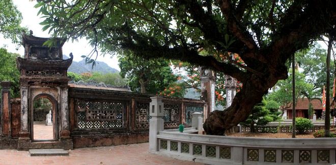 Cũng như các di tích khác thuộc cố đô Hoa Lư, đền Vua Đinh nằm trong quần thể di sản văn hóa và thiên nhiên thế giới Tràng An được UNESCO công nhận năm 2014.